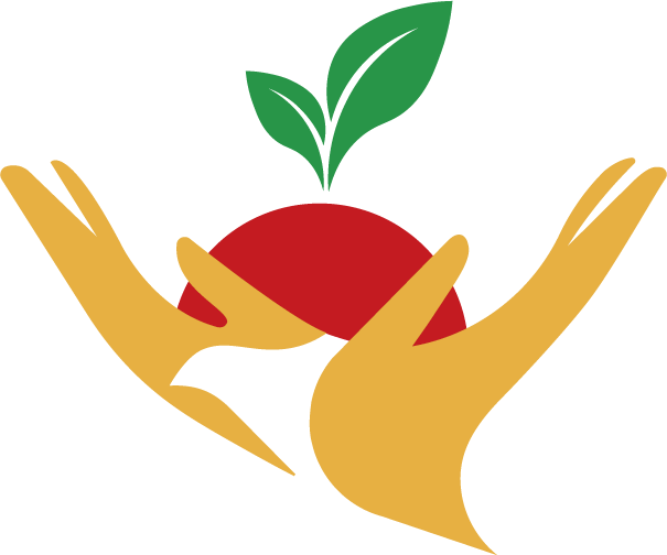 Fundación Vida Saludable